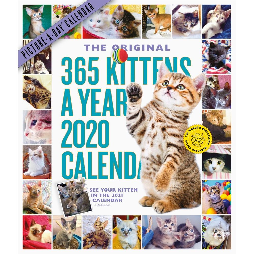 365-day-cat-calendar-2024-new-top-the-best-incredible-new-orleans-calendar-2024