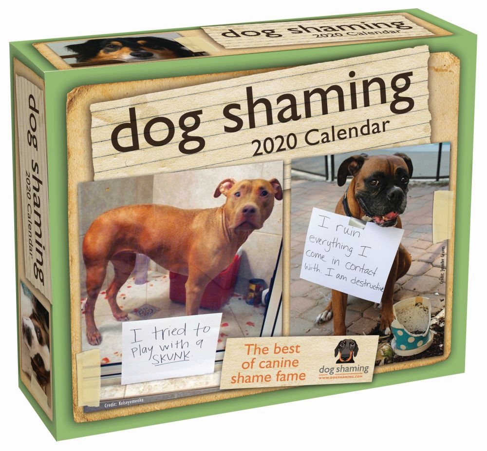 dog-shaming-2020-day-to-day-calendar-by-dogshaming-and-pascale-lemire-2019-calendar-for