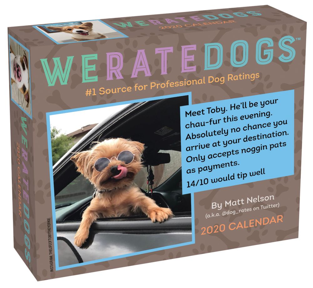 WeRateDogs 2020 DayToDay Calendar by Matt Nelson (2019, Calendar) for