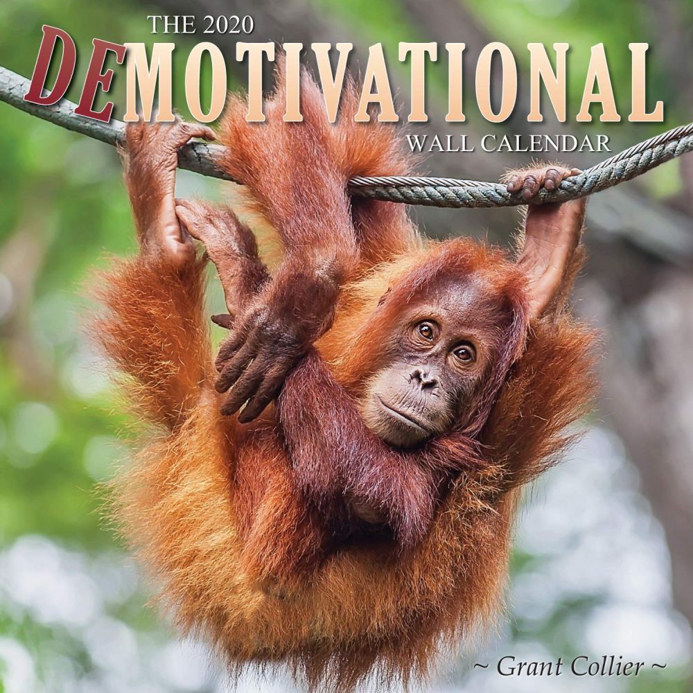 Demotivational Wall Calendar 2020 | eBay