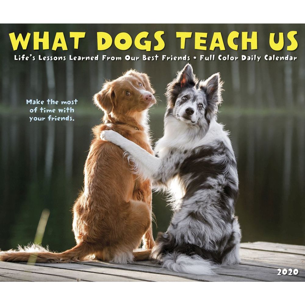 What Dogs Teach Us Desk Calendar 2020 eBay