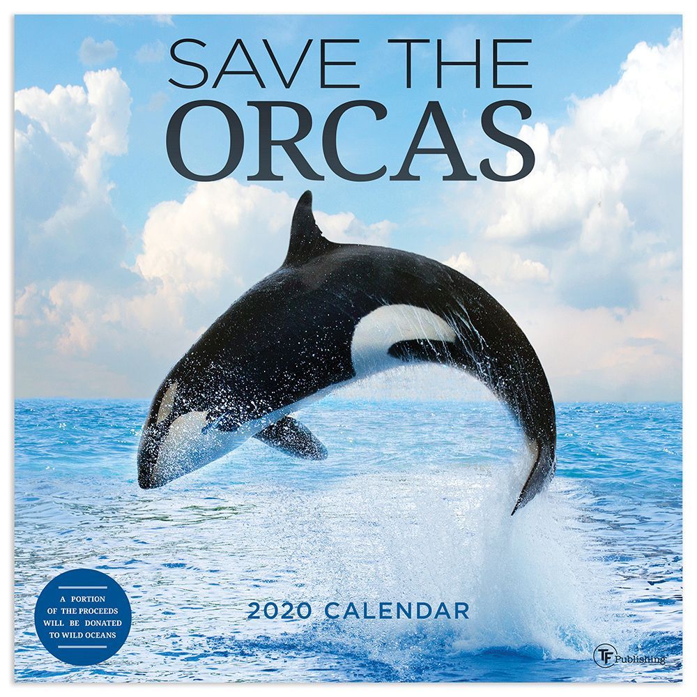 Save the Orcas Wall Calendar 2020 eBay