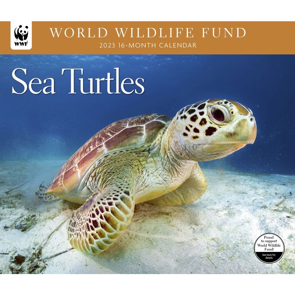 CALENDAR INK, Sea Turtles WWF 2023 Wall Calendar 16.99 PicClick