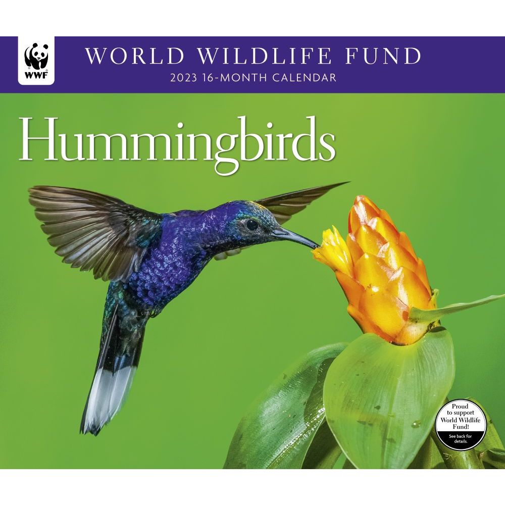 CALENDAR INK, Hummingbirds WWF 2023 Wall Calendar £16.93 PicClick UK