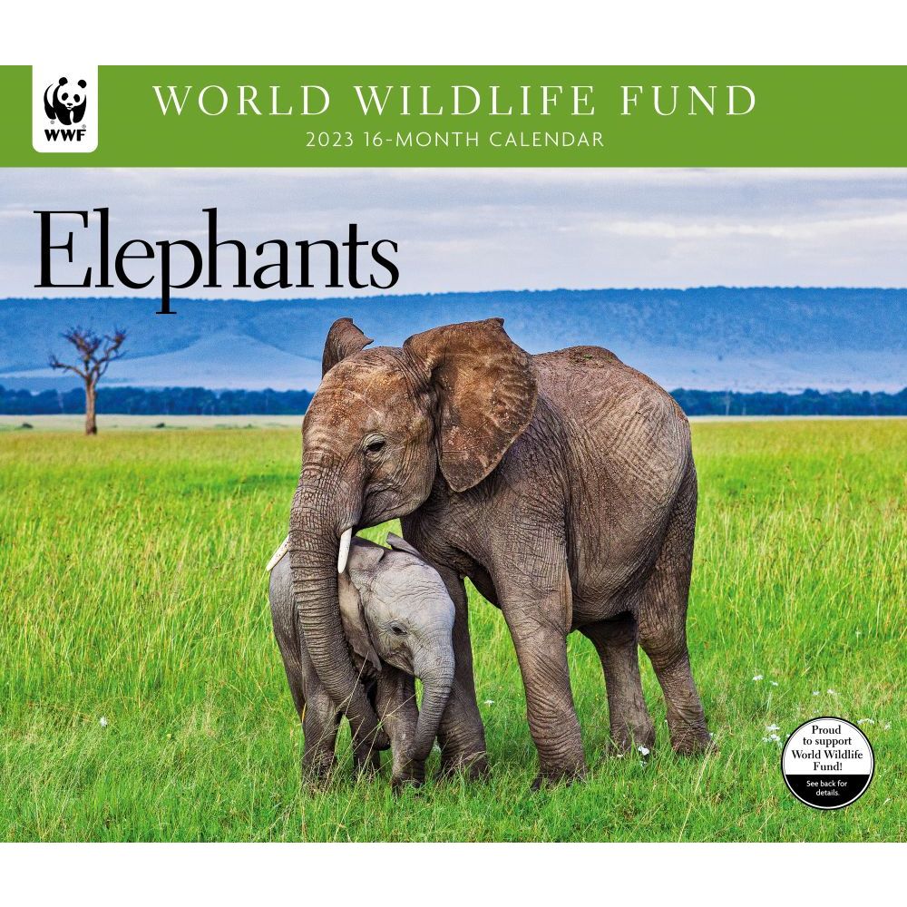 Calendar ink elephants wwf 2023 wall calendar 16 99 picclick