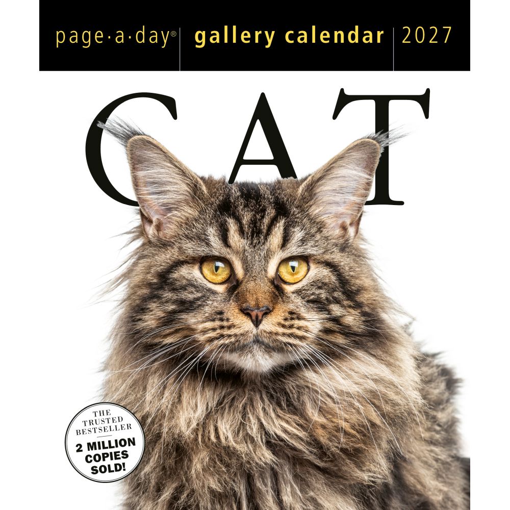 Cat Page-A-Day Gallery 2027 Desk Calendar